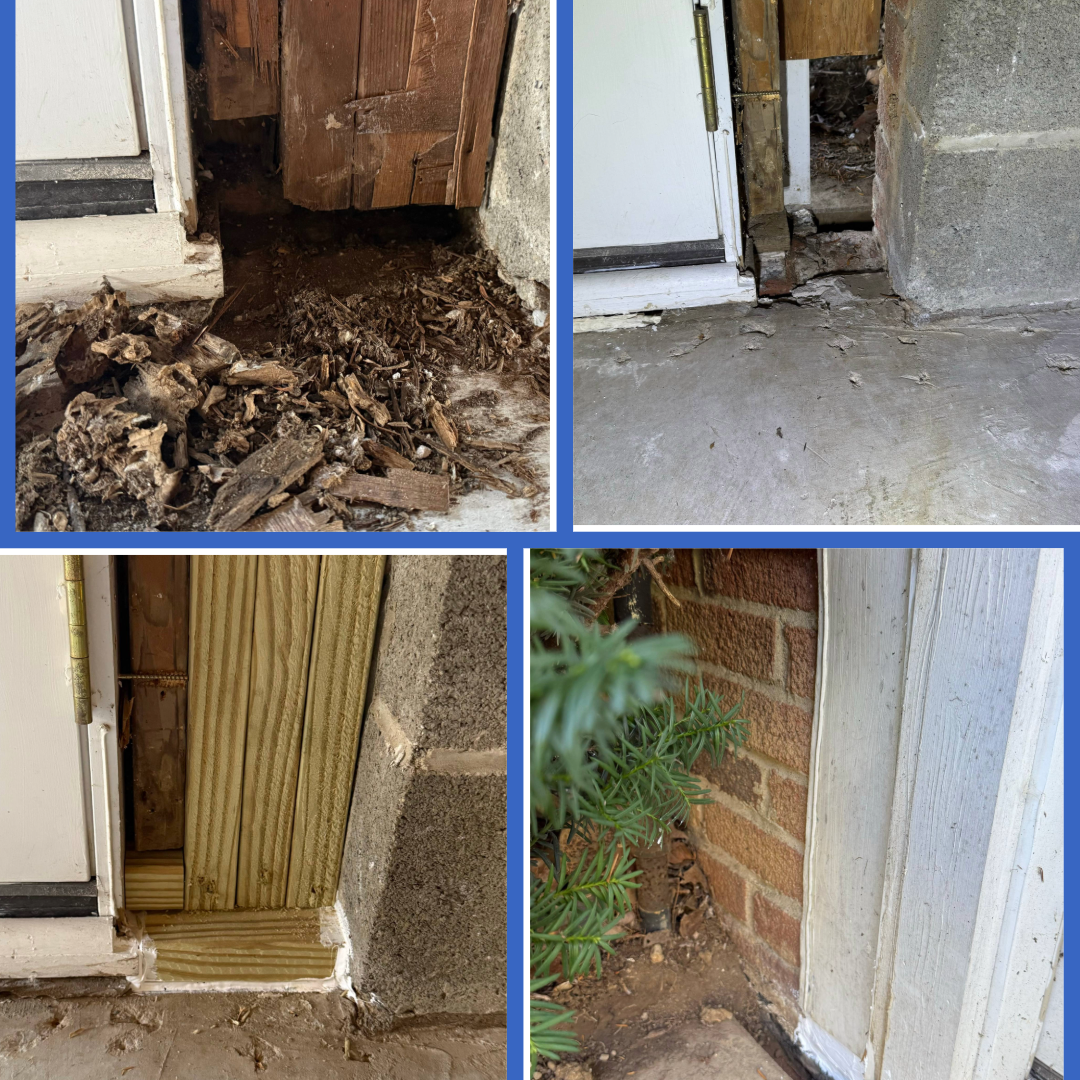 Repairs - Home - Basement - Door Frame Rot